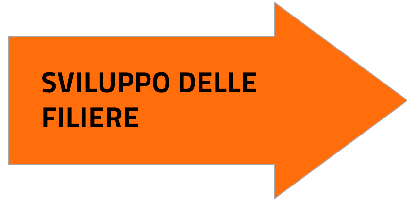 Sviluppo delle filiere